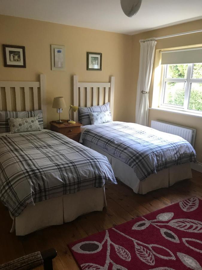 Teac Seain Bar & Bnb Anascaul Buitenkant foto