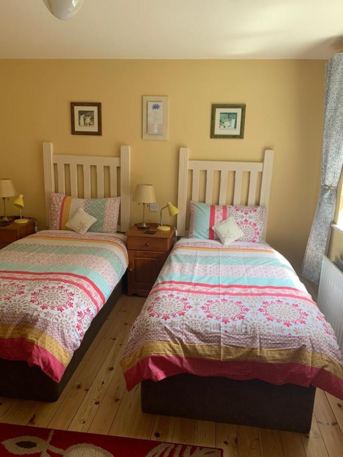 Teac Seain Bar & Bnb Anascaul Buitenkant foto